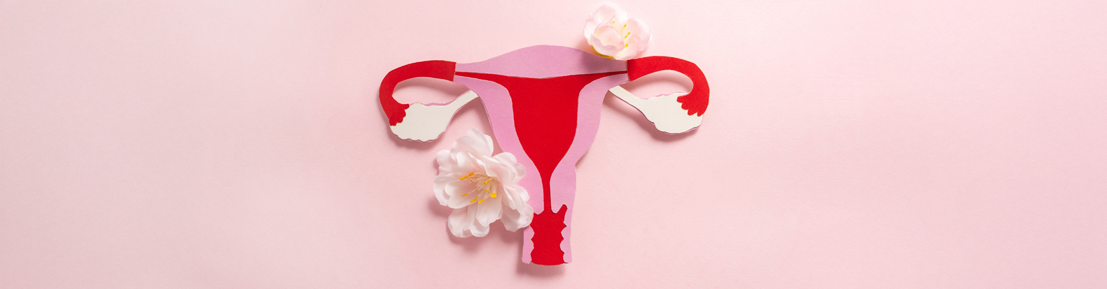 Endometrial Ablation