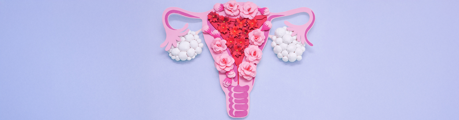 Ovarian Cysts