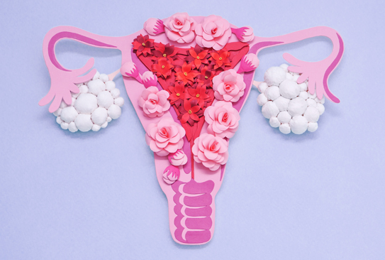 Ovarian Cysts