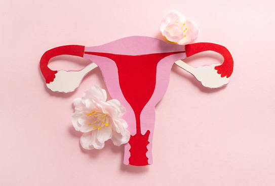 Endometrial Ablation